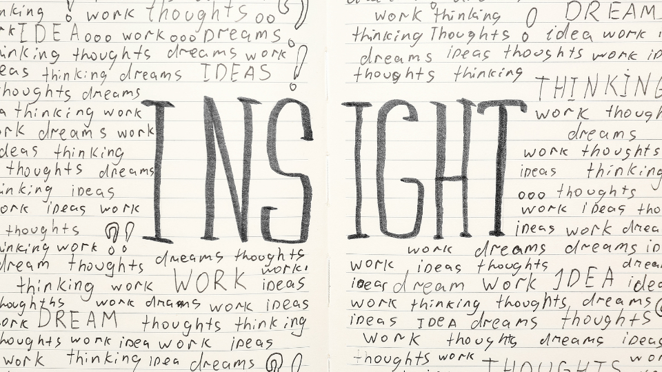 Innoruptions Data Analysis & Insights